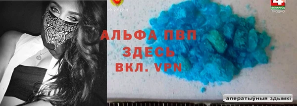 амф Верея