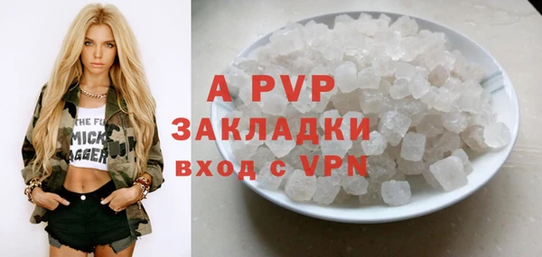 амф Верея
