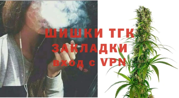 ПСИЛОЦИБИНОВЫЕ ГРИБЫ Верхний Тагил